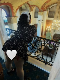 the-best-ride-from-new-orleans-on-two-heels-big-1