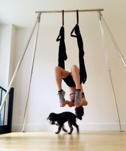 sensual-yogi-with-a-grad-degree-touring-dec-10-to-12-big-0