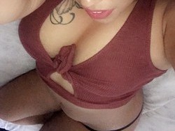 beautiful-exotic-companion