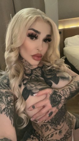 new-exotic-bunny-visiting-big-0