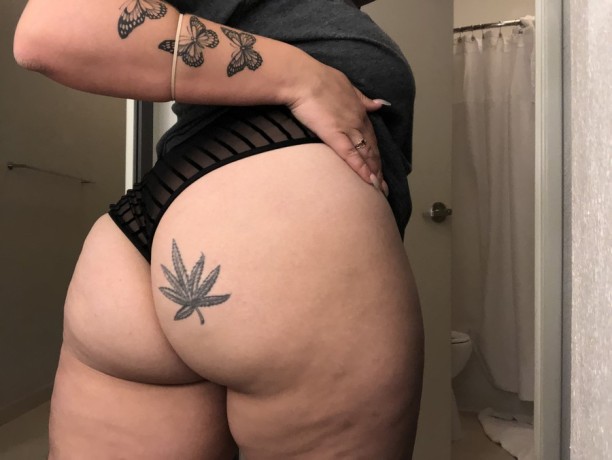 sierra-snowbunny-big-0